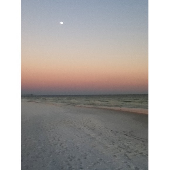 Meet your Posher, Nonni - Picture 1 of 1